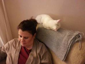 Description: C:\Users\TheSurgeon\Dropbox\Camera Uploads\2013-01-04 20.00.01.jpg