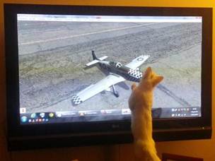 Description: C:\Users\TheSurgeon\Dropbox\Camera Uploads\2013-02-14 18.29.33.jpg